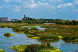 莱阳简史：栖霞、海阳、莱西竟然都是从莱阳分割出去的？图片