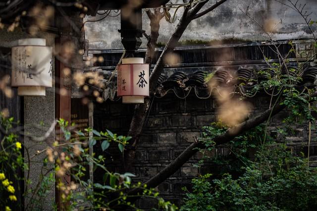 旅游已死？国庆假期年轻人选择“躺平”，这届游客玩出了新高度！