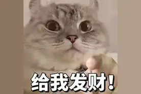 笑不活了！全国女婿到丈母娘家的统一状态？笑死在评论区！图片