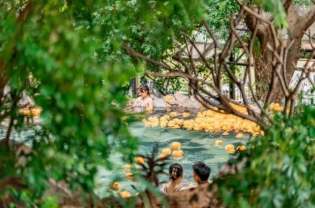 首次发布！弥勒2地2酒店上榜！