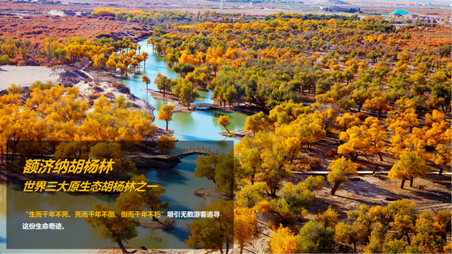 倒计时预警！包银高铁开通即封神，7城组队搞大事！