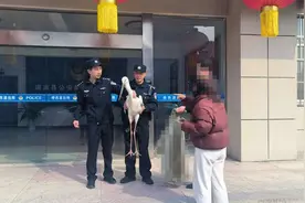 连云港警民联手救助国家一级保护动物！图片