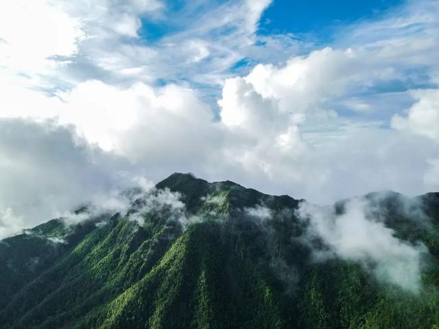 韶关晚秋“神仙景致”：云海、奇峰、秋叶奏响绝美“三重奏”！