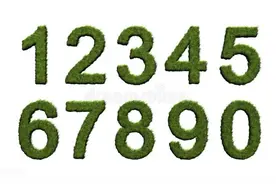 数的概念与类别——数学知识整理图片