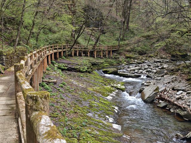 汉中留坝南郑勉县三日游