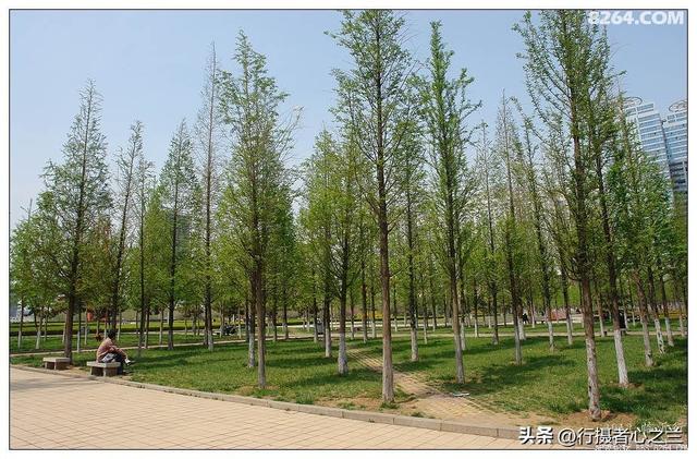 山东行游影记（59）—临沂市区