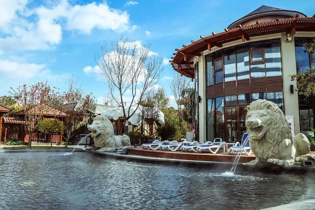 奔“区”潍坊！“趣”游滨海 欢乐无限！