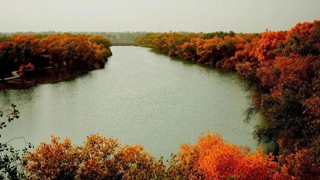 邢强 | 秋游南疆