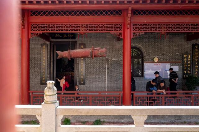 去了一个很卷的城市，景点多到逛不完，太适合反向出游了！
