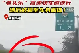 老头乐强闯高速逆行后续：2老人当场身亡！收费站：拦了 没拦住！图片