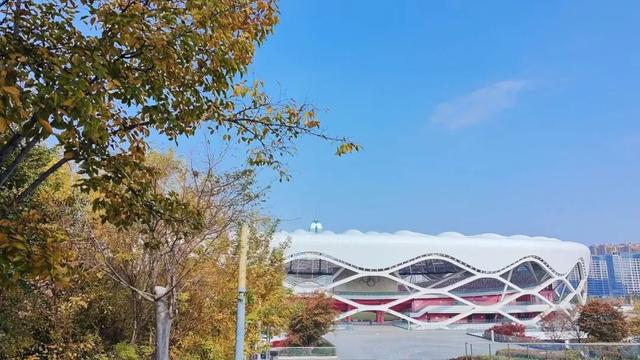 寻美薛城丨自然盛宴！橙黄橘绿好景时，市民中心初冬的“限定美景”已上线！