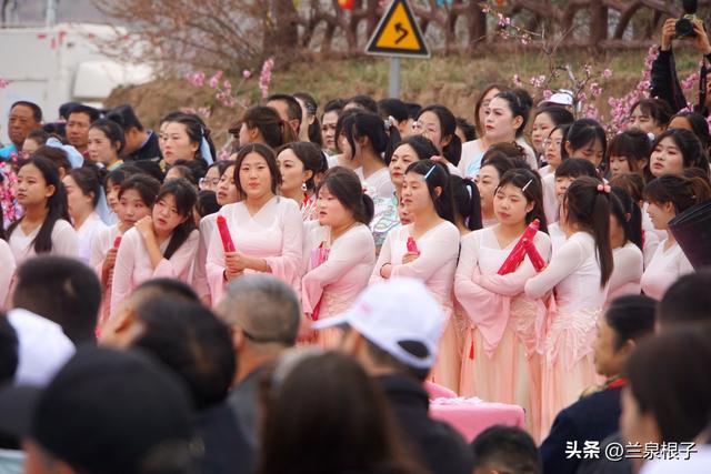醉美桃花源启幕 秦安共赴春日盛宴