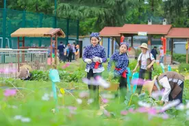 做手工、干农活、秀厨艺，这场游园会为江北新区劳动教育周启幕！图片