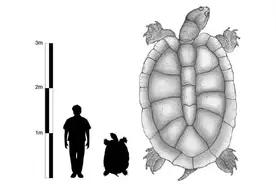 巨兽之地：这是地球史上最独特的生物群落之一，各种动物大到离谱图片