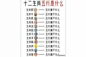 终于有人把十二生肖五行属什么整理出来了，对照一下，你属于什么图片