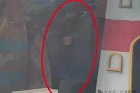 郑州一海洋馆通报“驯养员脚踢海狮”：开除涉事员工，停业整顿图片