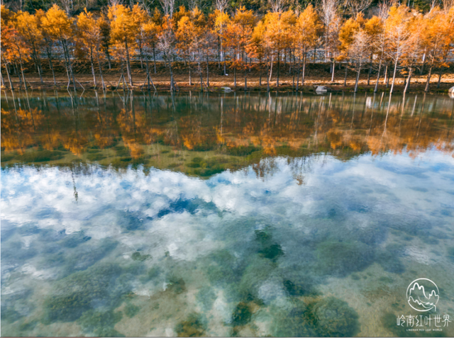 沉浸式感受韶关新丰绝美秋色！ 2天1夜赏枫露营品美食，徒步泡温泉，一起去躺平 ！