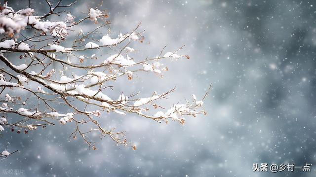 “上午立冬冻死牛，下午立冬暖烘烘	”	，今日立冬不一般，有啥说法