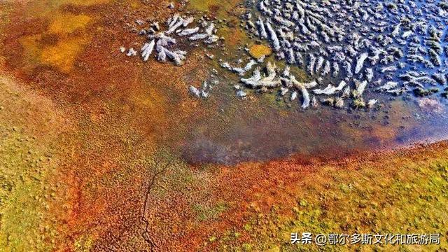 内蒙古杭锦旗：湿地秋景惹人醉