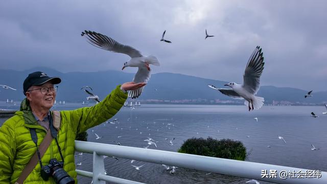 每日一景|漫步滇池湖畔·与海鸥共舞