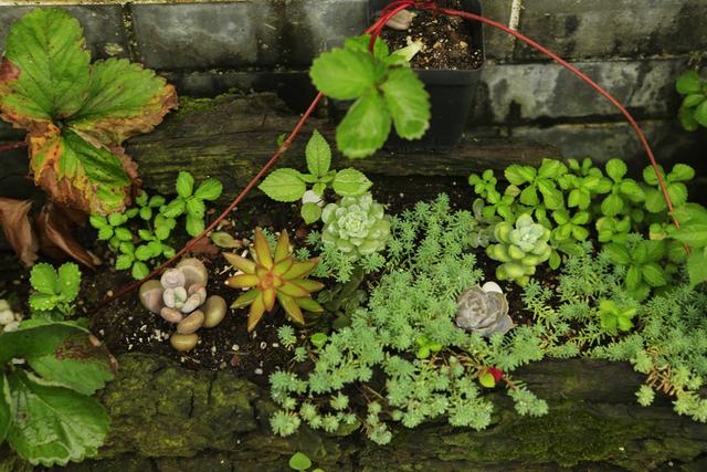 人间烟火气，最抚凡人心之上里古镇（原创）