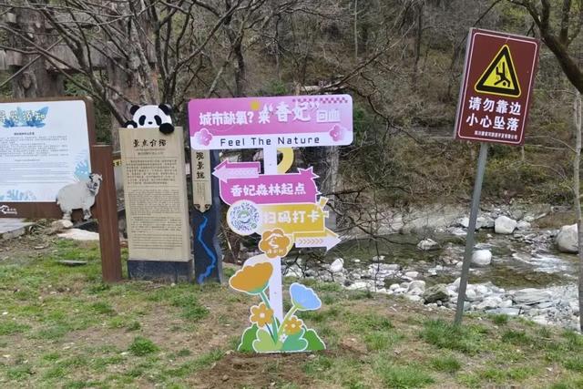 广元不远 周末优选 | 又是紫荆又是奖牌的，唐家河你成功引起了我的注意！