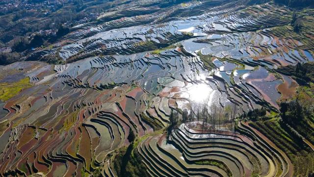 “四素同构”的千年农耕奇迹灌水期到了！美轮美奂！丨有一种叫云南的生活之365天