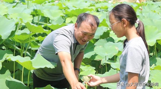 “荷”你有约 卫辉南河柳园成打卡新地标