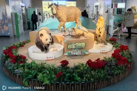 参观陕西自然博物馆图片
