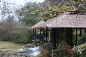 有黑珍珠，有米其林，有高水准的浙江本帮菜，三台山等你来吃图片