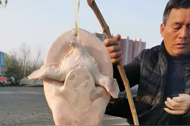 今天早上遇到卖甲鱼的骗子，还真有人上当了。图片