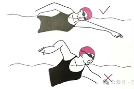 为什么你的自由泳不像蛙泳一样能长游？有什么特别方法来改进？图片