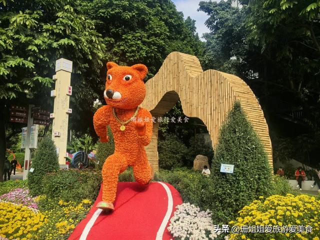 广州文化公园66届菊展，藏秋冬浪漫气息，延续全运会风情，免费