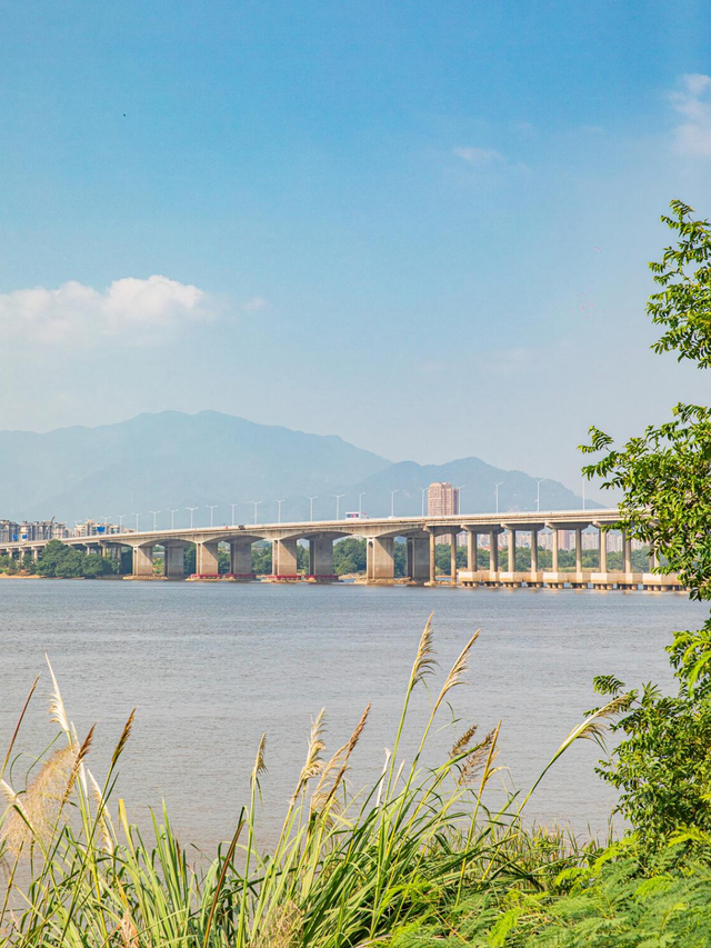 福州深秋宝藏公园，藏着粉黛乱子草与火红水杉，还有绝美沙滩江景