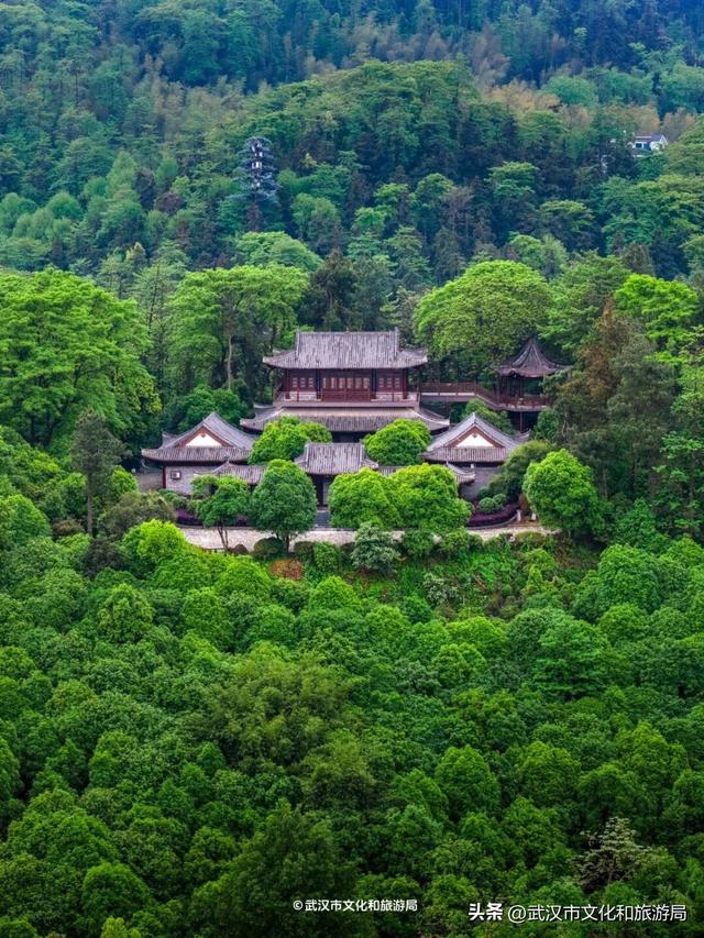 直冲30℃，咸宁请客，出来玩！