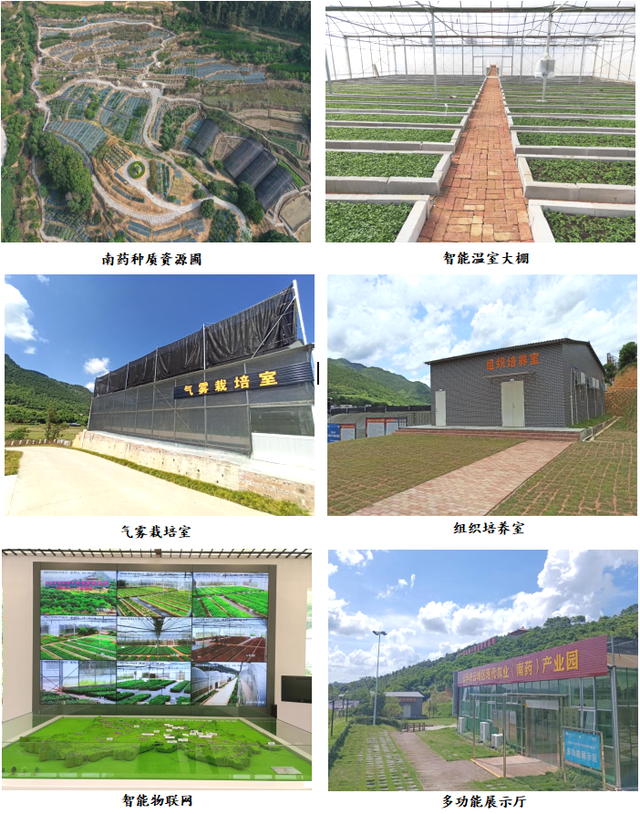 前锋三九银田南药园正式上线“乐游广东”文旅地图！