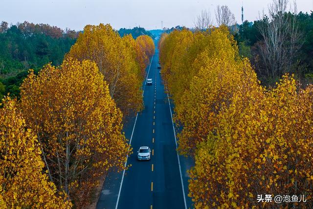 一份攻略解锁礼乐随州｜从编钟之乡到炎帝故里，叩问「何以中国」