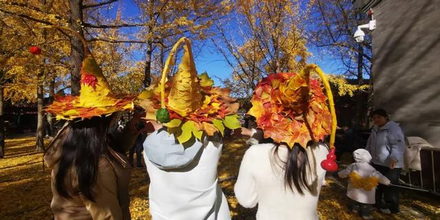 你会怀念这个秋天吗?