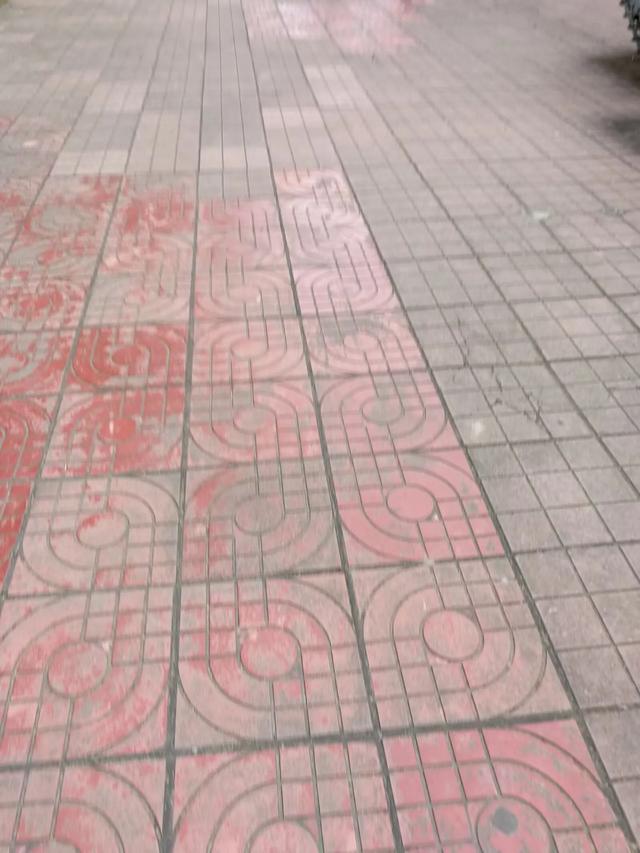 带着孙女去旅行（152）琼海红色娘子军纪念园游
