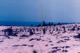 德国专家2次说治沙困难，中国人：你懂啥！30年后让沙漠变绿洲图片