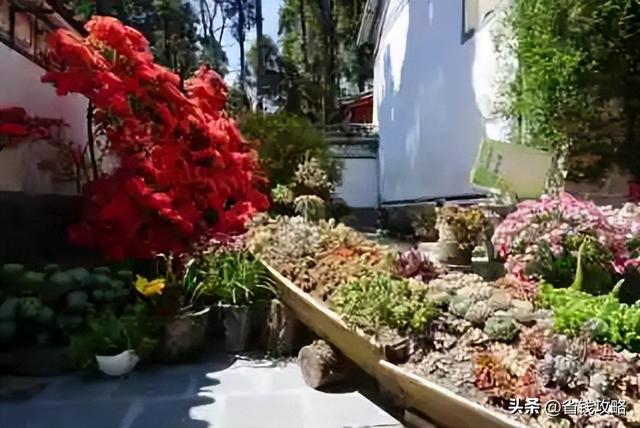 大理3天2晚，省钱攻略：不含往返大交通，人均总预算980元