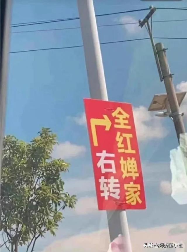 全红婵爸妈也没想到，别墅刚封顶，一家人就走上了大衣哥的老路