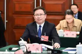 2025省两会特别报道｜龙丛：以旧换新极大地促进了市场繁荣图片