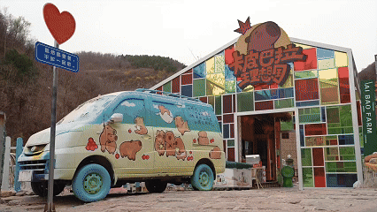 淄博版“疯狂动物城”来了！网红萌宠已就位，快来当一日“荣誉市民”→