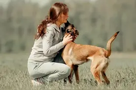 女子和狗狗同吃同睡，6个月后肚子胀痛去医院检查，结果有点意外图片