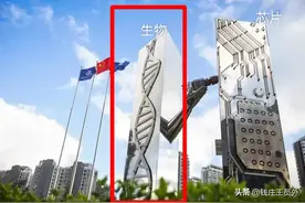 这次羡慕济南了，青岛和潍坊去趟深圳，真不容易图片