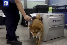 🥰带着宠物去旅游！出行攻略来了图片