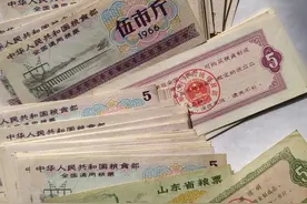 1966 年版 5 市斤粮票背后的惊世谜团图片