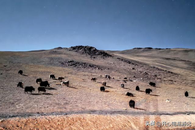 喀什经317到成都，民丰-改则，穿800里无人区，海拔从1500到5400