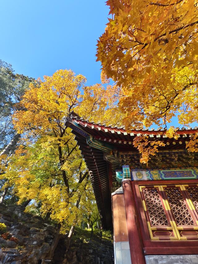 北京的秋是七彩的